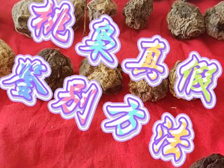桃枭真假鉴别方法 桃枭和普通桃核差别那么大,怎么会分不出来呢?来,我告诉你什么是真的。
第一步,闻味道。
全皮的桃枭是甜香味,漏核的桃枭是焦香味。
对于经常接触桃枭的人来说,这个味道还是很明显的。
第二步,看纹路。
无论是什么样的桃枭,因为长时间的风吹日晒雨淋,果肉中的桃胶都会沁入核中,在不破坏桃枭纹路的前提下,这些桃胶是很难清理干净的。
第三步,看盘玩效果。
桃枭在桃树上方向是不变的,一年的风吹日晒雨雪霜露,导致它各部分特性是不一样的,无论经过多少工序的加工,它本身的花纹都是不变的,也就是常说的花了。那些完全一色的桃枭手串,你猜猜是哪来的?
#桃枭 #桃枭手串 #桃枭挂件 #藏锋阁手工坊