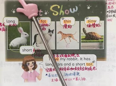 三年级下册英语人教版第17页