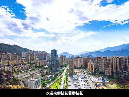 攀枝花是全球唯一一个叫攀枝花的城市!@四川文旅 #暖暖的花城 #宣传家乡 #旅行推荐官