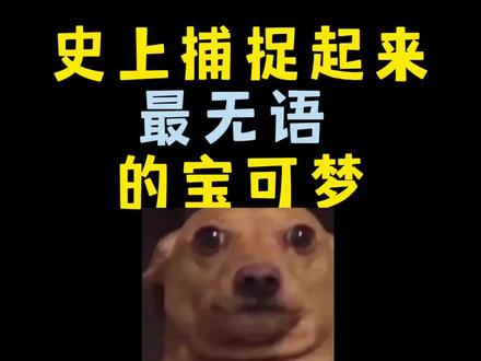 史上捕捉起来最无语的宝可梦#精灵宝可梦 #精灵宝可梦剑盾 #口袋妖怪