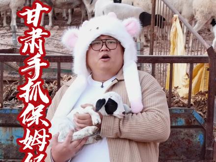 甘肃手抓羊肉怎么吃?兰精灵为您带来保姆级教程! #分享家乡美食 #地方特色小吃 #西北美食 #手抓羊肉 #抖音美食