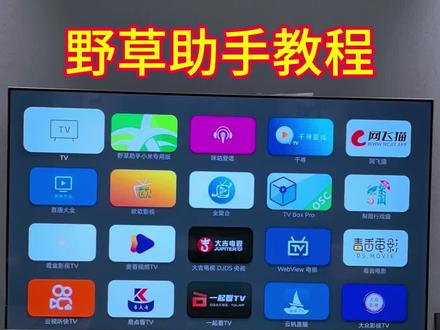 电视机野草助手教程!#数码科技 #电视 #电视机 #小米
