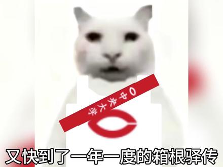 102回箱根驿传选手介绍和区间预测
感觉今年比100回的综合实力还要更强
今年是真的很有希望重回冠军
因为前年的流感大家都带上了口罩预防
#箱根驿传 #中央大学 #吉居骏恭 #中长跑