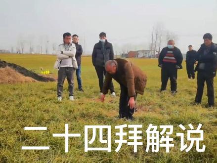 #不管多么忙田间地头抖一抖😁😁😁 二十四拜原声解说版