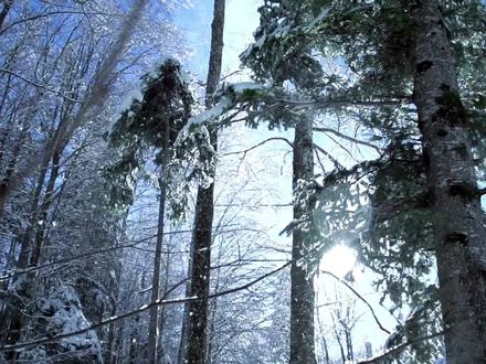 BJ40增程元境智行分享给每一个喜欢在路上的朋友~#智行硬派SUV就买BJ40增程