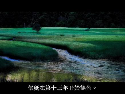 今天,此刻,正是潮水最低的时刻。 信纸在第十三年开始褪色。
我坐在海风灌满的屋子里,看那些蓝墨水的字迹慢慢淡成天空的颜色。二十三岁那年我爱过一个人,他教我辨识所有的潮汐。后来他走了,去拍世界尽头的灯塔,说要寄给我每一座灯塔的黄昏。
他真的寄了。十三年来,每月一封,从挪威到好望角,从冰岛到火地岛。信封里永远只有一张灯塔的照片,背面写着经纬度,没有落款,没有归期。
我把它们锁在铁盒里,像锁着一片会涨潮的海。
直到今天,邮差敲错了门。他说这封信在邮局滞留了很久,地址模糊,但收件人是我。信封很旧,邮戳是十三年前的日期。
我打开它。
里面只有一张照片。不是灯塔,而是一座岛的全景,背面写着两行字。第一行是坐标,第二行被海水洇湿过:
“潮落时,就可以走过来。”
铁盒里的照片被我全部倒出来,按日期铺满地板。灯塔、灯塔、灯塔。我忽然发现,每一张照片的边缘都露出一小片的礁石。如果把十三年的照片按潮汐周期排列,随着潮水涨落,礁石可以完全露出水面。
我的手开始发抖。
而今天,此刻,正是潮水最低的时刻。
我赤脚跑出门。沙粒滚烫,海风咸涩。那条通往礁石的路一点点从退却的海水中浮现,像一道被时间掩埋的答案。路的尽头,有人站在那里。
他的声音被风从很远的地方吹过来。
“该醒了。”
一个浪头打在我脸上。很冷。很疼。
涨潮了。明天退潮的时候,那条路不会再有。
我知道的。
可是月亮还是会把海面拉起来,像拉一道永远不会痊愈的伤疤。而我可能还要花十三年,才能学会不去看那片海。
或者再一个十三年。
图源自作者本人
#文案 #情感 #随笔 #原创 #青檐