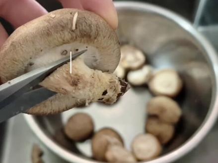 牛肉香菇馅水饺的做法#好吃不如饺子