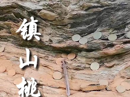 武当山悬崖峭壁上的镇山宝剑你知道谁放上去的吗?#仙仙的武当 #来武当过几天仙暇日子 #道家文化 #道系青年 #道观日常