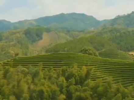 丽水龙泉,曾是浙江第二大县,为何如今比不上青田? #龙泉市 #龙泉宝剑 #龙泉青瓷