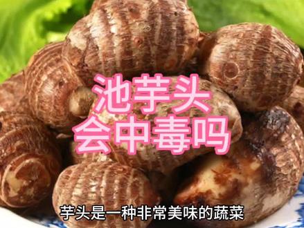 吃芋头会中毒吗