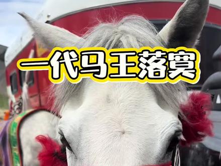 洋湖马王曲甲欧珠
#一路走好愿天堂没有痛苦