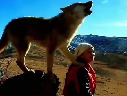 一部真实的纪录片,《重返狼群》刷到一次感动一次,忠诚又重情重义懂得感恩的狼王格林。以及说我们向往格林的感情,但不能要求别人成为格林。如果一定要,那么自己先成为李微漪。