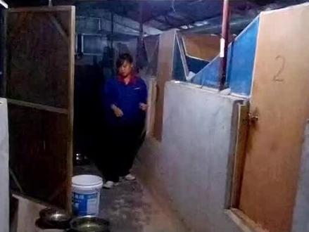 农村养蛇需要投资多少钱?#养蛇致富 #养蛇赚钱吗