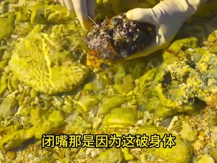 崩之和亲 #崩铁 #崩铁同人 #爽文 #爆款 #男生必看