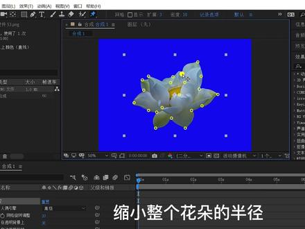 AE如何制作花开绽放的特效效果#教程 #中视频伙伴计划