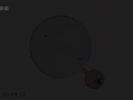 被行军蚁包围了怎么办?记住这一招捡回一条命! #昆虫 #蚂蚁 #行军蚁