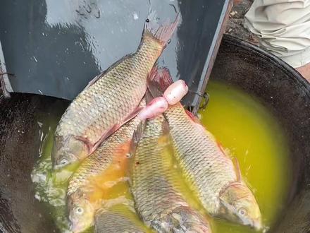 制作美食“臭鱼”#便宜好吃的零食