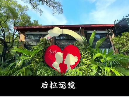 #运镜 新手手机拍摄常用运镜教程,通俗易懂,不懂的东方评论区留言#拍摄技巧 #我要上热门 #飞宇稳定器#飞宇蝎子mini2 @DOU+小助手 @DOU+上热门