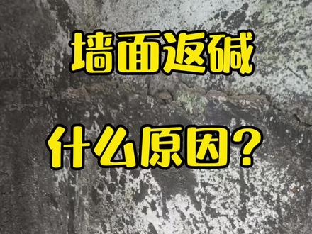 墙面返碱什么原因?一条视频剖析它的根源#墙面返碱