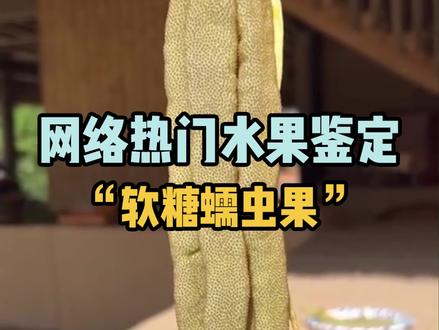 鉴定网络热门水果之“软糖蠕虫果”#号角树 #科普 #涨知识 #冷知识 #新奇新奇 #奇葩 #新奇新奇