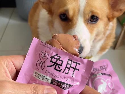 在狗狗眼里兔肝比肉肉还香#新手养狗 #萌宠好物 #狗零食