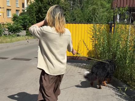 带着一身🐯味的狗狗出门玩 #陈三千 #伯恩山 #宫百万