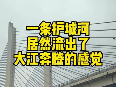成都府南河南段,豁然开朗,一条护城河居然流出了大江奔腾的感觉#绿水青山就是金山银山 #成都 #现场实拍 #乡村振兴 #成都周边游