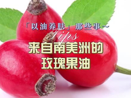 玫瑰果油有什么护肤功效?#科学 #科学护肤 #以油养肤