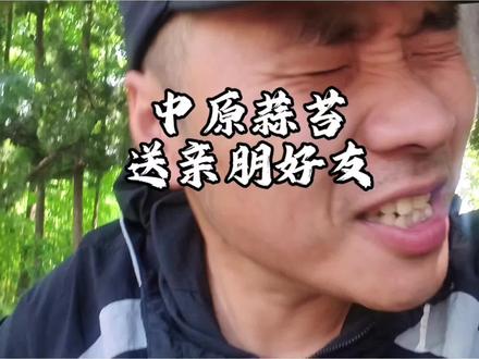 #河南蒜苔 #vlog十亿流量扶持计划 别的地方五六块一斤,到了河南只能烂地里。❤️酸 外省的都帮一帮咱河南的老百姓吧