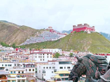 《生命树》是更为残酷的现实 #生命树 #生命树集集上头 #抖音精选 #了不起的精讲团 #影娱漫谈编辑部