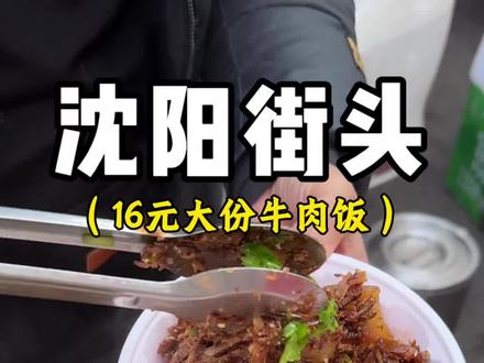 沈阳街头,16元大份牛肉饭~ #路边摊美味 #抖音美食推荐官 #青年创作者成长计划 #街边小吃 #地方特色美食