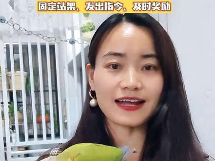 小太阳鹦鹉定点排便训练! 小太阳定点排便,一次学会。
#手养鹦鹉#小太阳鹦鹉#牡丹鹦鹉 #鹦鹉日常 #鹦鹉定点排便 #手养鹦鹉