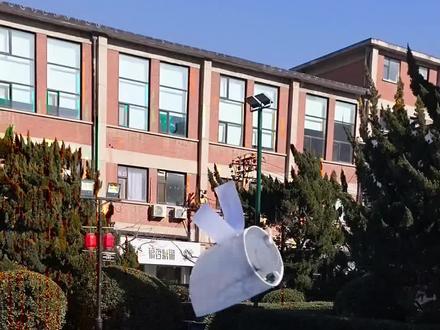 飞天小猪制作教程 #飞天小猪#制作教程
我先后发布了滑板型,一元水火箭,飞马等简易纸飞机,使用我创意的,都火了。#上热门话题🔥 #一般人不告诉他 #原创视频