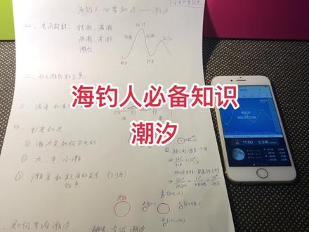 海钓人必备基础知识 - 认识潮汐
#潮汐 #海钓 #赶海 #潮汐表