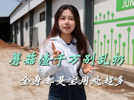 根系扎不深长不旺,拌上蘑菇渣扎根超轻松
#蘑菇渣 #有机肥原料 #蘑菇渣源头厂家