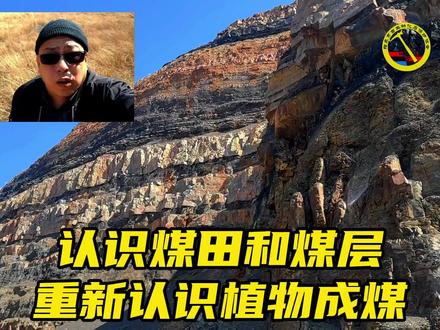 煤炭真的是植物形成的吗?不用疑问,这次用事实去反驳那些质疑! #地质 #岩石