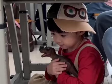 到底是谁又把波纹带来上课了?#杨博文#杨博文小时候 #豆包ai生成