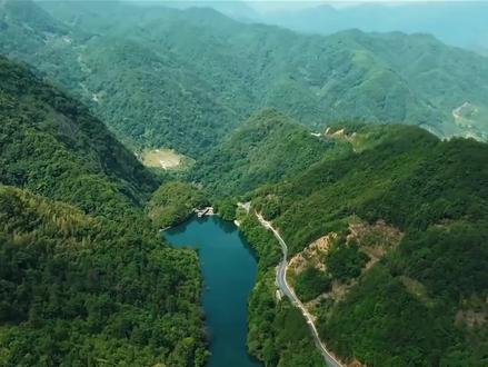 【寻味浮梁——苦槠豆腐】在瑶里,有一种神奇的植物——苦槠树。冬天到了,苦槠子从树上自然脱落,收集苦槠子,开始制作苦槠豆腐。#一起学做菜 #那些尝一口就忘不掉的特色美食 #抖音美食推荐官 #苦槠豆腐