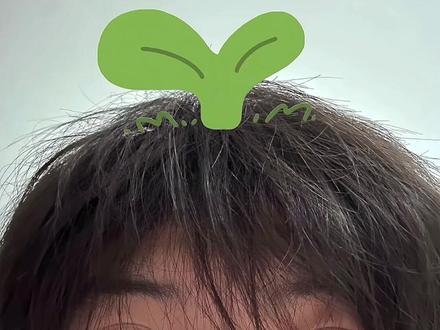 小草贴纸教程来啦#醒图 #醒图创作者 #小草贴纸