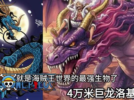 4万米巨龙!新世界最强生物!龙洛基比龙凯多至少大50倍!甚至 可能会比佐乌巨象还要巨大!#2071 #海贼王1174话 #洛基 #凯多 #世界最强生物