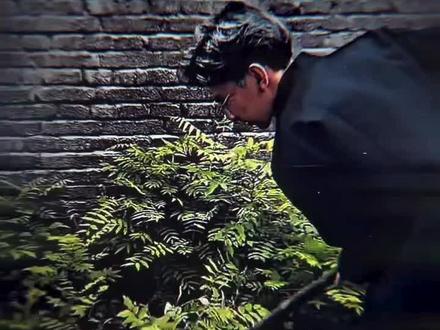 第54集|亡命大哥瘦猴的故事“黑宝与太岁的爱情”