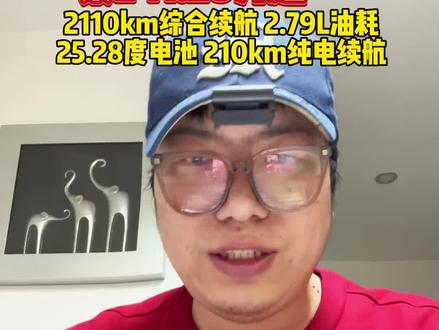 秦L加推210km版真心推荐顶配#秦plus #秦L
