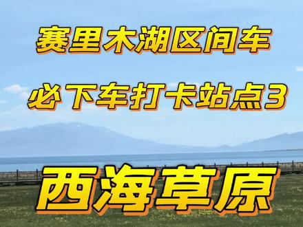 赛里木湖区间车必下车打卡站点3:西海草原 最好备一双防水鞋套,要想走到塞湖边上的话,草原一踩一冒水,血泪教训哈哈哈哈
但里面景色是真的好,能看到无比辽阔的塞湖
#赛里木湖 #赛里木湖区间车 #赛里木湖攻略 #赛里木湖旅行vlog #青年创作者成长计划