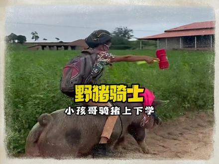 巴西小孩哥骑猪上学记 #骑猪 #离谱 #整活