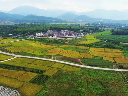 航拍:广东台山四九镇玄潭学校(现玄潭原舍)