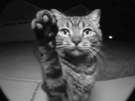 吞噬星空:最新第209集预告超前。九幽之主。#动漫推荐