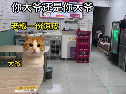 你大爷还是你大爷#识货种草官 #禁毒你我同行 #你大爷还是你大爷 #离谱 #猫meme