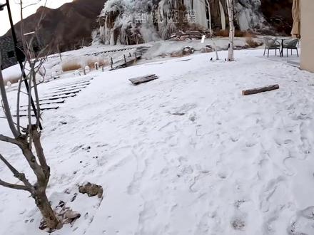 谁懂我这狗屎一样的笑点 #时代少年团 #精神状态 #抽象