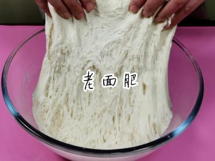传统老面引子,老面肥的做法,从0开始蒸馒头,学会不用买酵母#美食趣胃计划 #面食 #传统手艺不能丢 #馒头