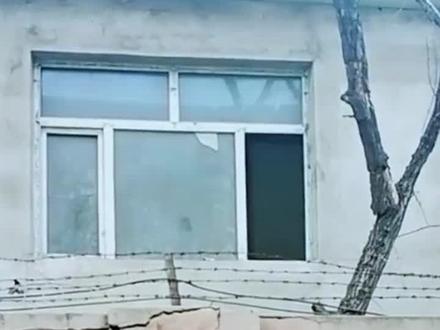 你还记得《哈喽小金毛》吗?#萌宠 #感人 #金毛#动物救助 #我要上热门